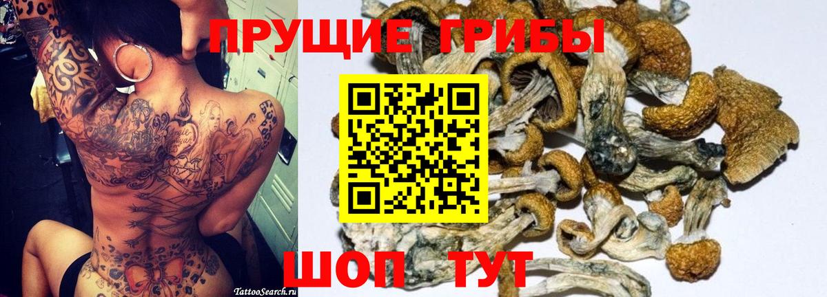 Лысьва  Псилоцибиновые грибы Magic Shrooms  Вход с VPN 